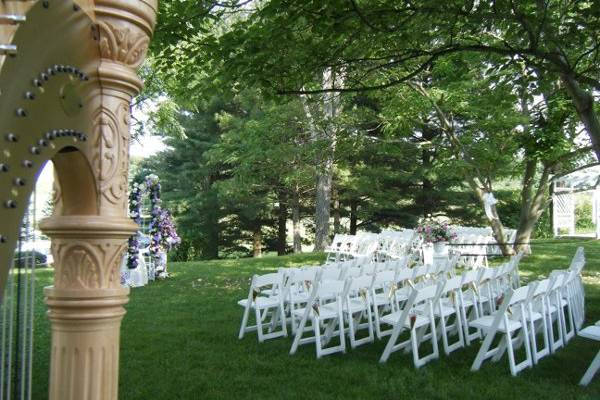 Harp in a garden wedding