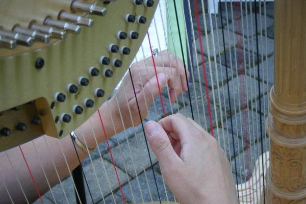 Melissa Tardiff Dvorak, Harpist