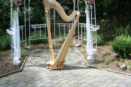 Melissa Tardiff Dvorak, Harpist