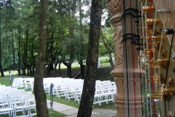 Melissa Tardiff Dvorak, Harpist