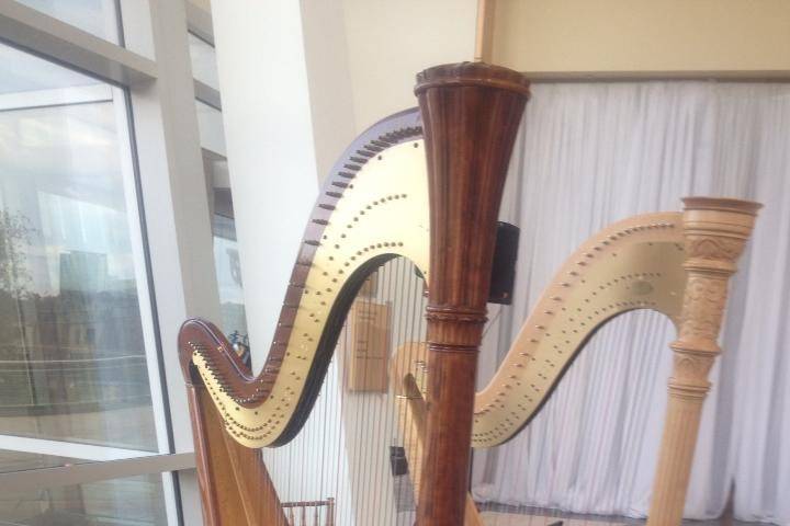 Two harps