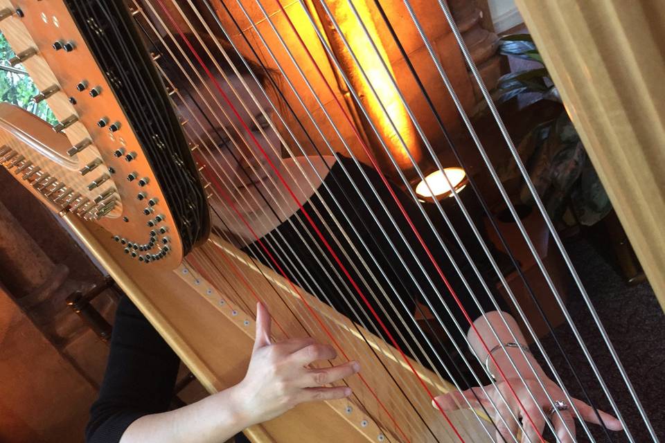 Melissa Tardiff Dvorak, Harpist