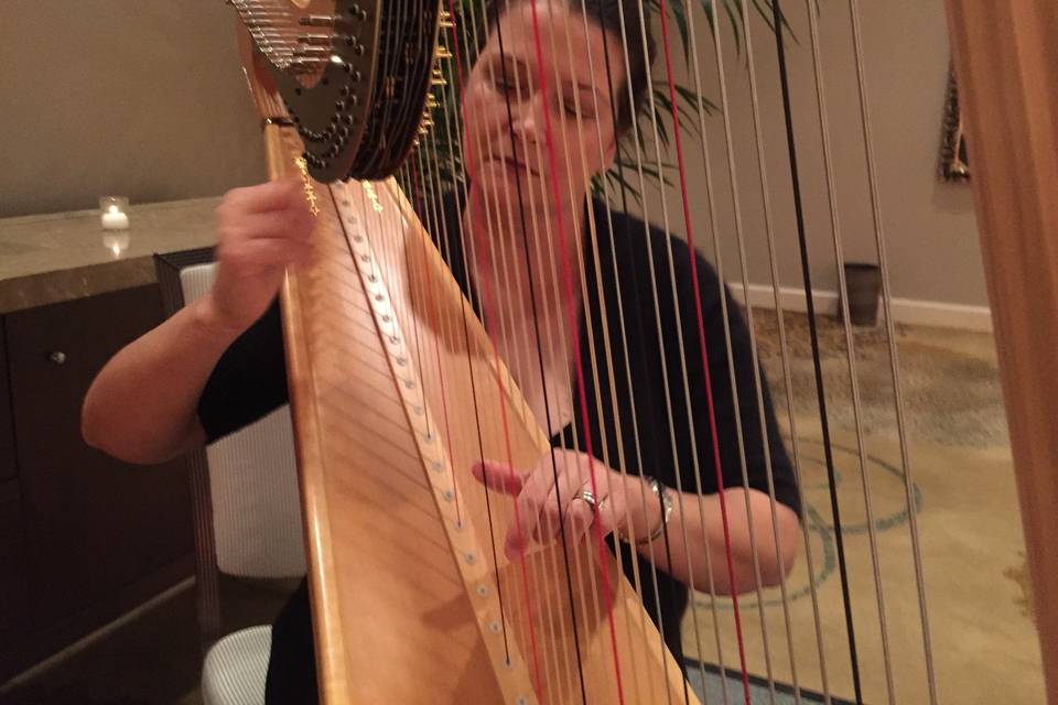 Melissa Tardiff Dvorak, Harpist