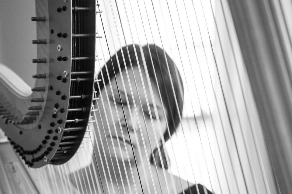 Melissa Tardiff Dvorak, Harpist