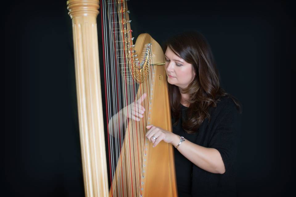 Melissa Tardiff Dvorak, Harpist