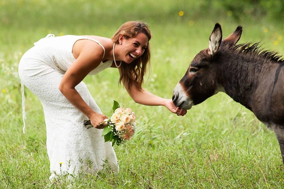 Wedding at BlissWood