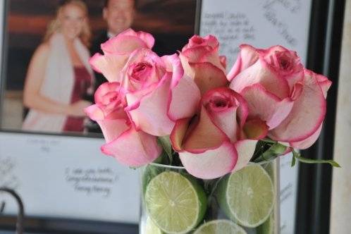 Pink roses