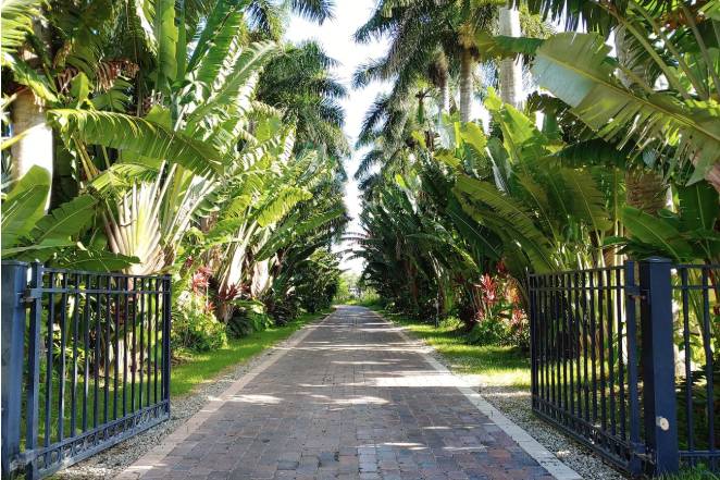 Tree-lined Entry