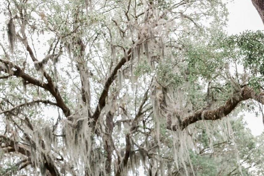 Bok Tower