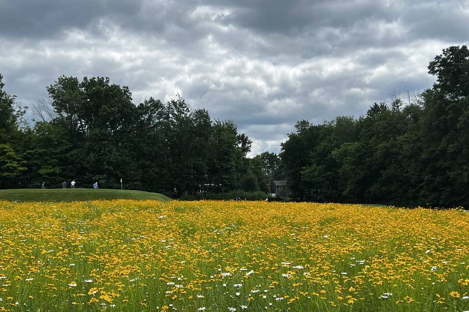 Knoll Country Club