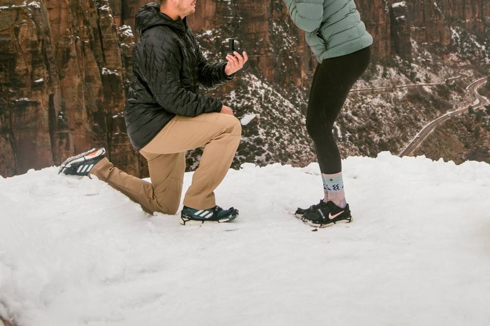 Zion Proposal