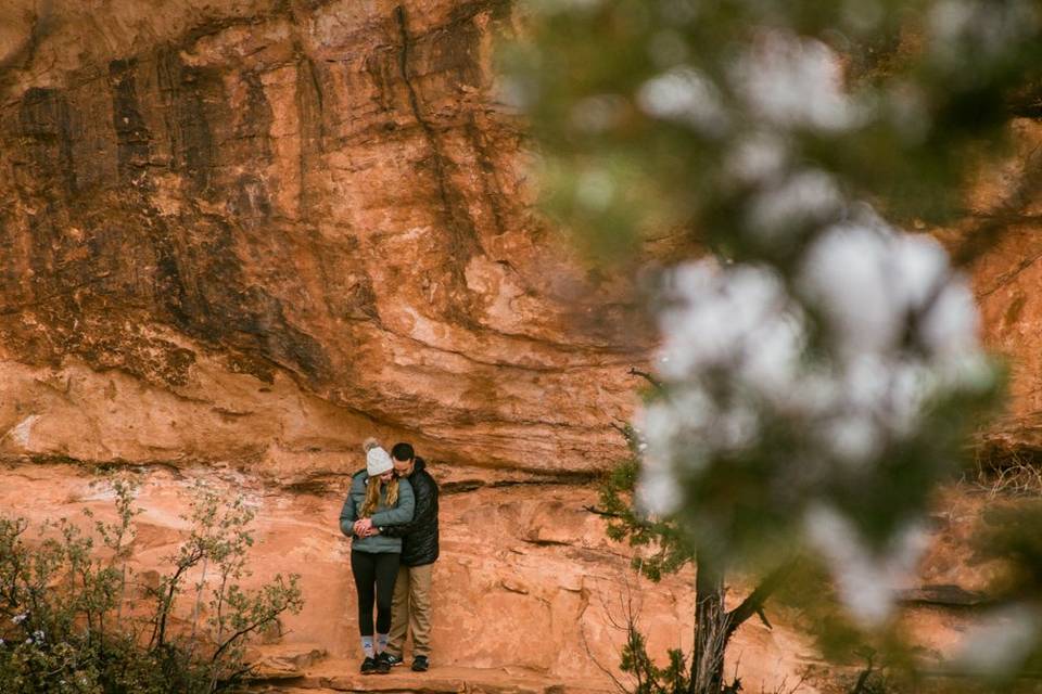 Zion Proposal