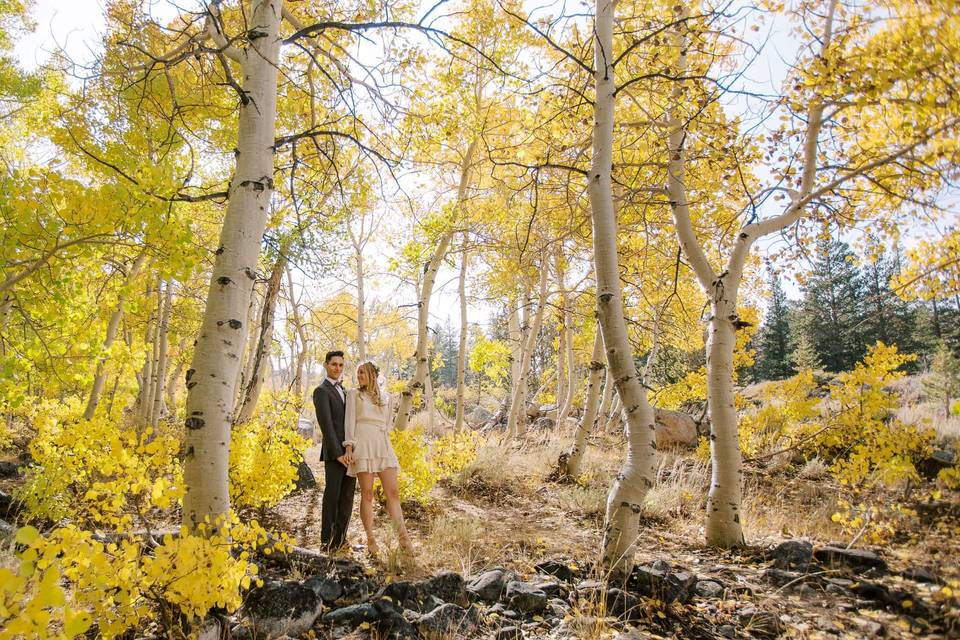 Zion National Park Elopement