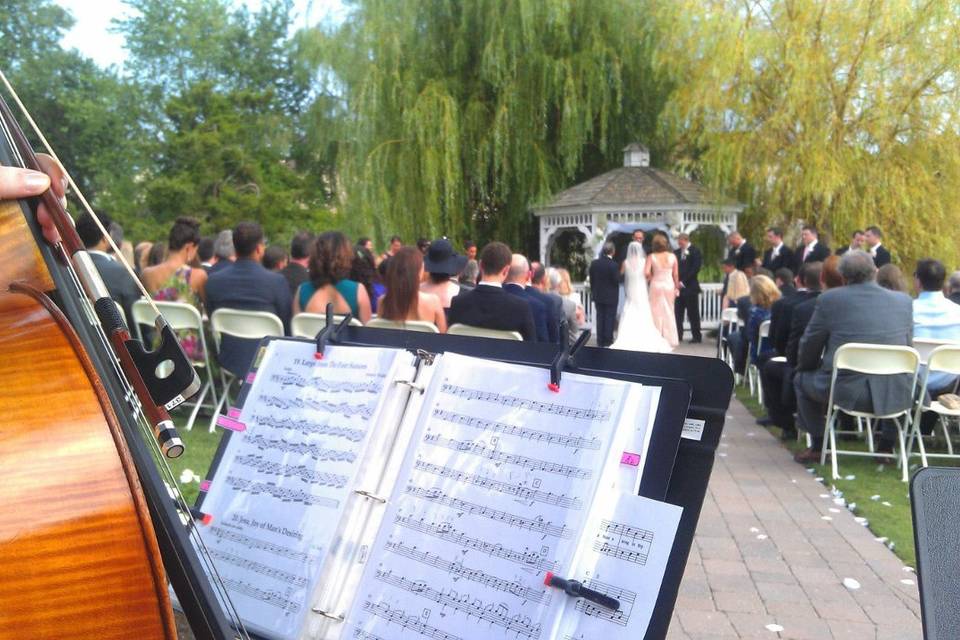 Grace Note String Ensembles Grace Note String Trio & Harps Wedding Music