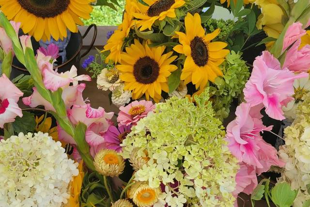 Colorful blooms