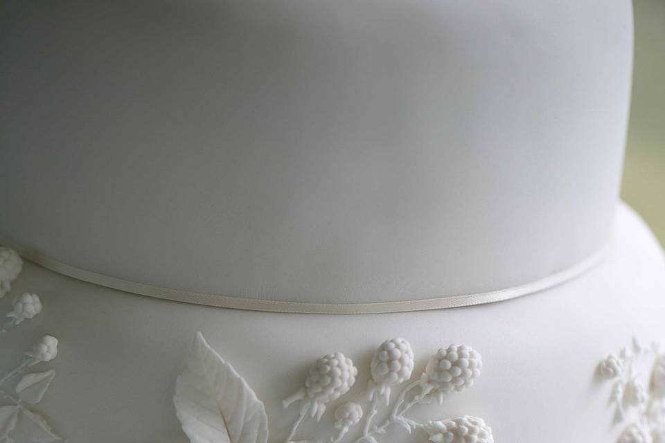 White on Whited Botanical Bas-relief on this stunning Wedding cake.