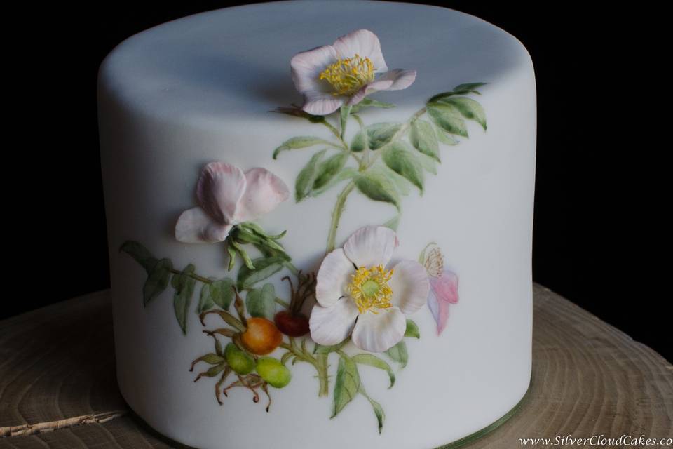 Handpainted cake