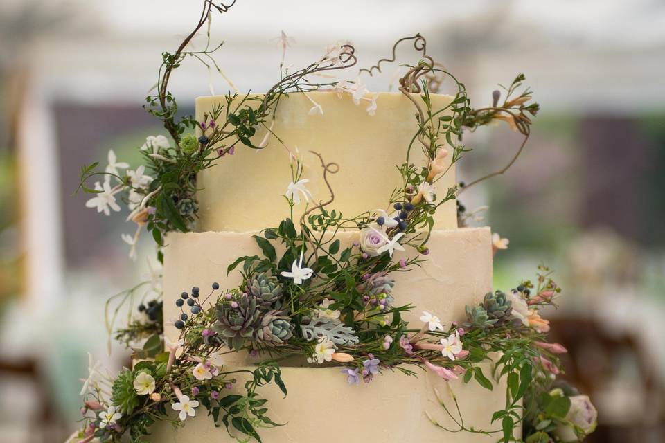 Jasmine vine wrapped cake