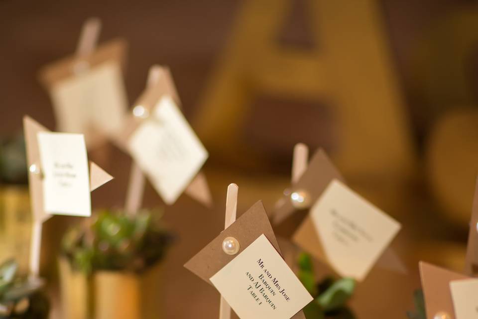 Succulents as escort table and favors