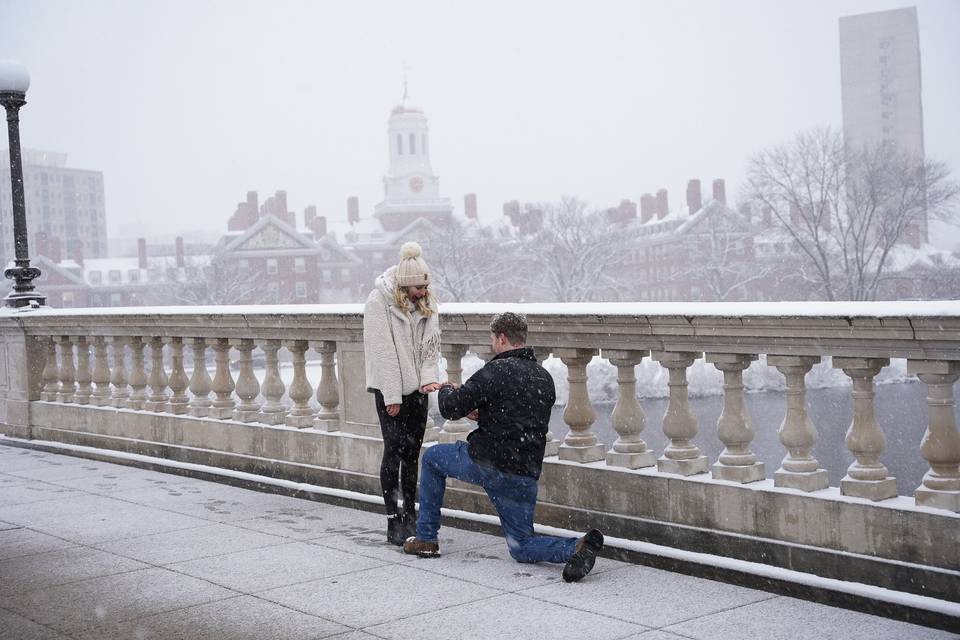 Winter proposal