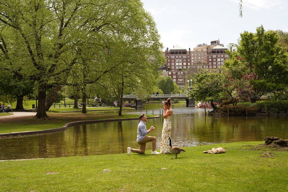 Proposal