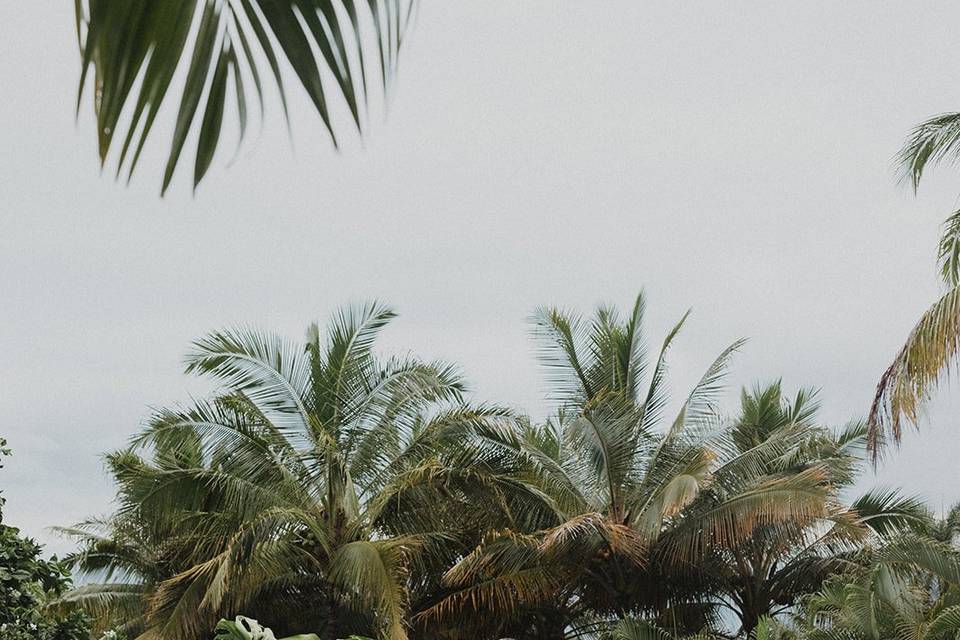 Hawaii wedding day