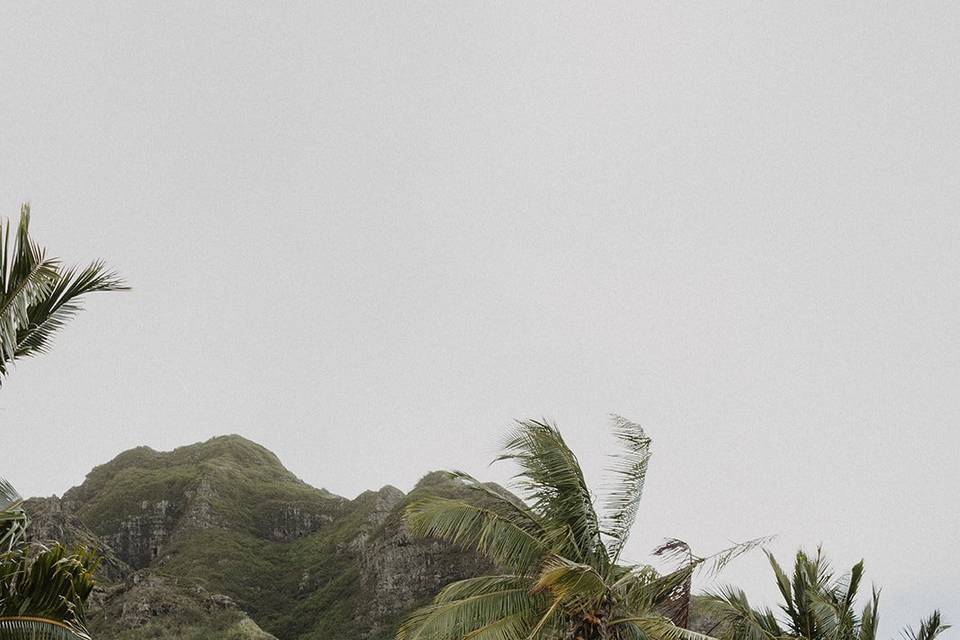 Hawaii wedding day