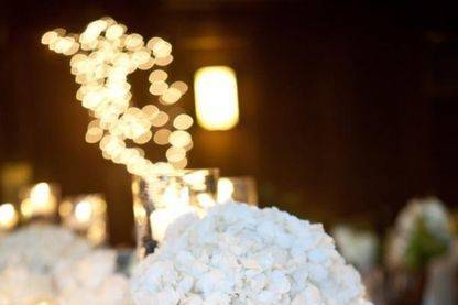Exquisite Weddings & Events