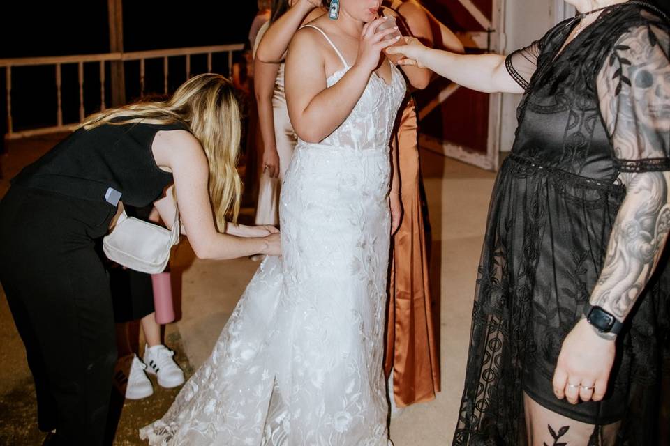 Veil and Vine