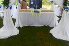 Dr. Who Themed Wedding