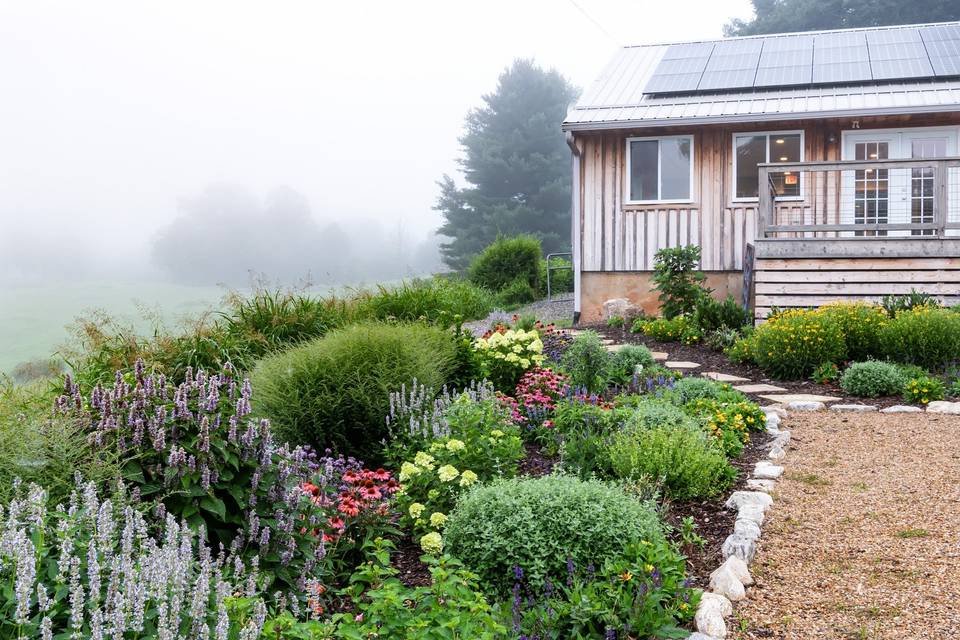 Our organized wildflowers!