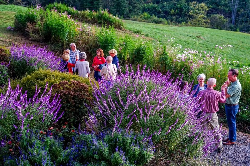 Our organized wildflowers!