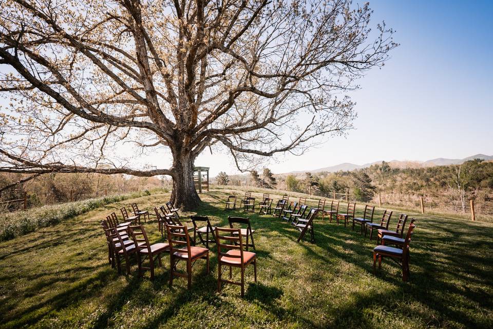 Ceremony at the Oak Tree