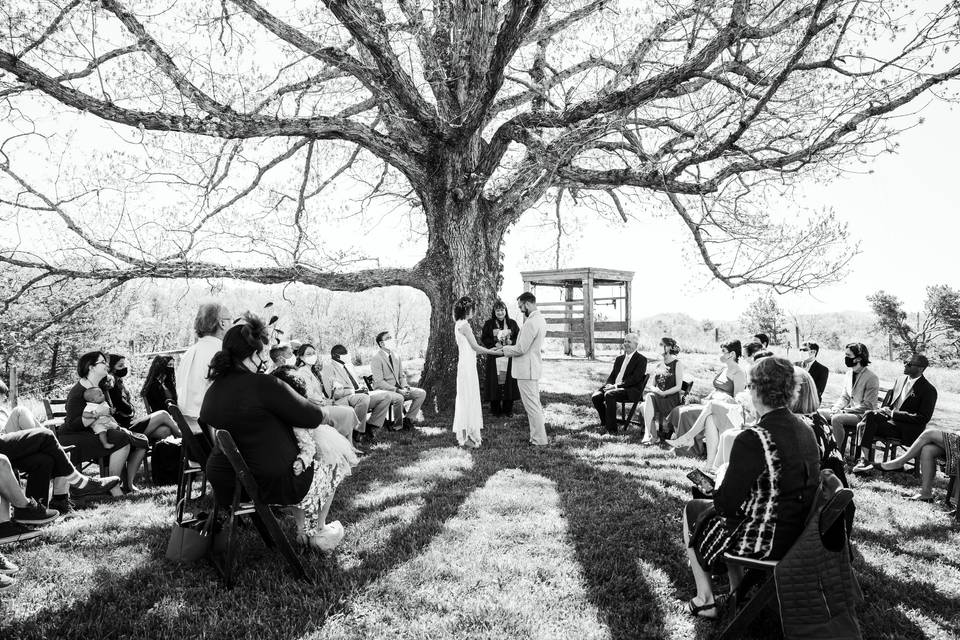 Ceremony at the Oak Tree