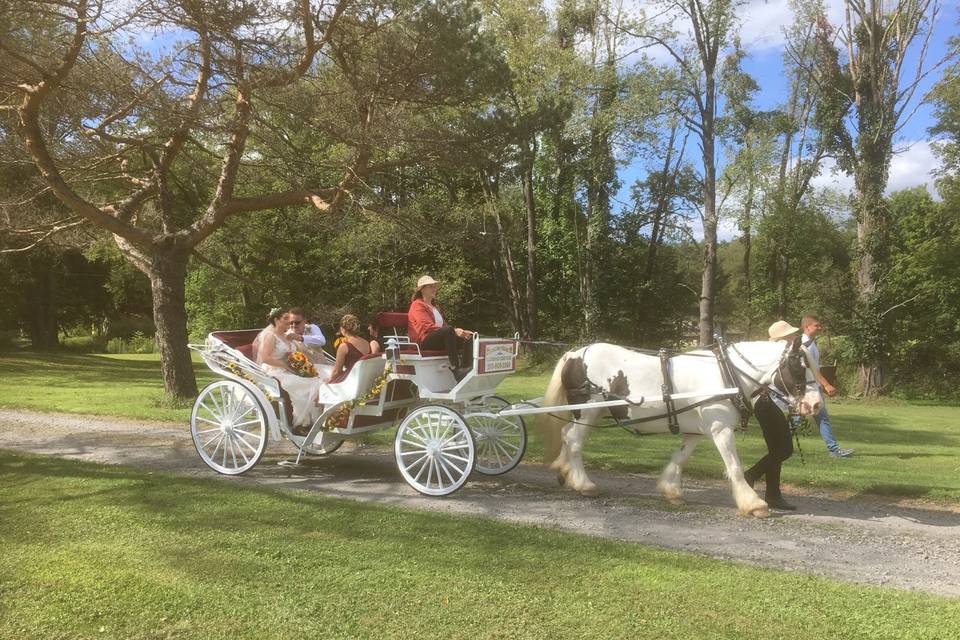 Bridecarriage2