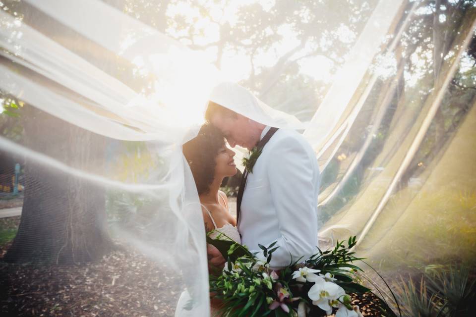 Wedding at Flamingo Gardens