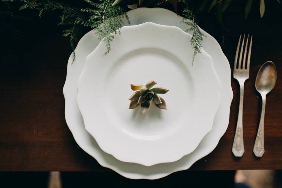 Amber Greene Photography