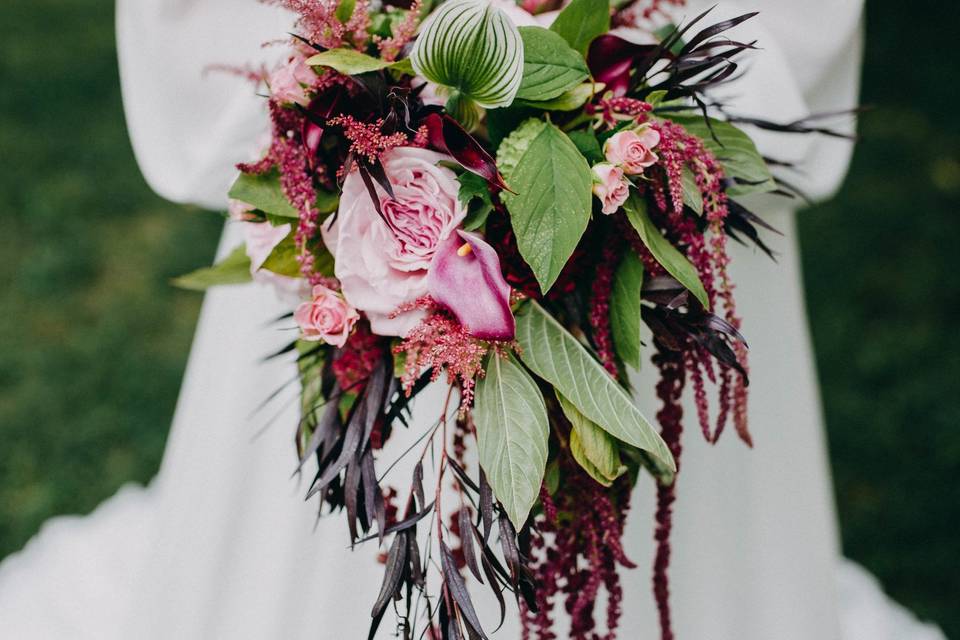 Amber Greene Photography