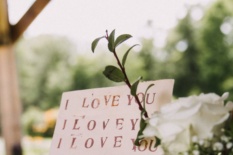 Amber Greene Photography