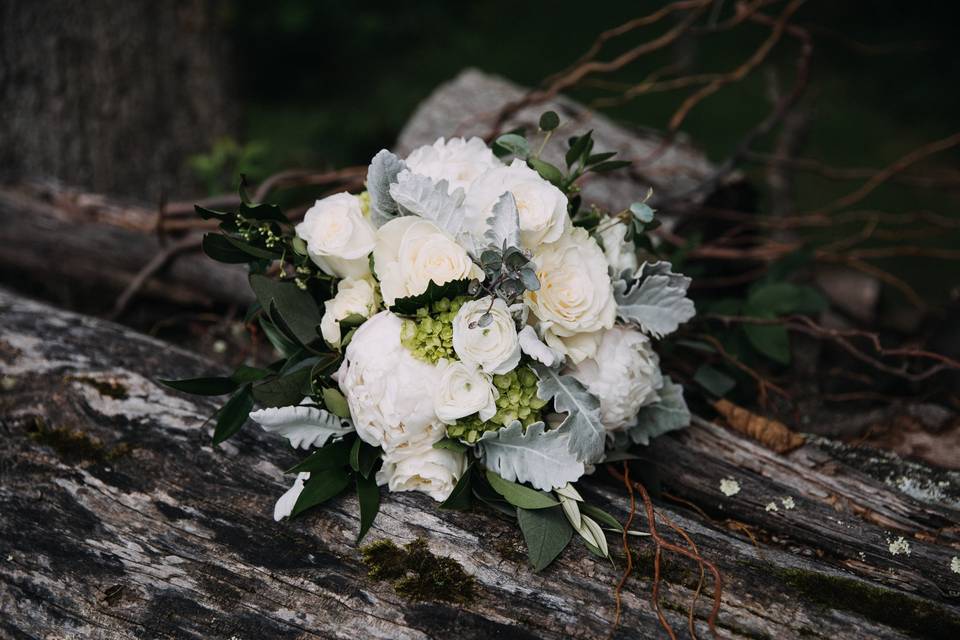 Amber Greene Photography