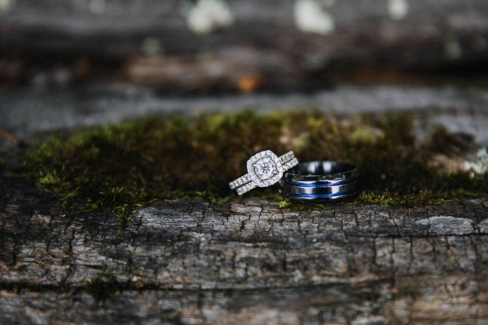 Amber Greene Photography