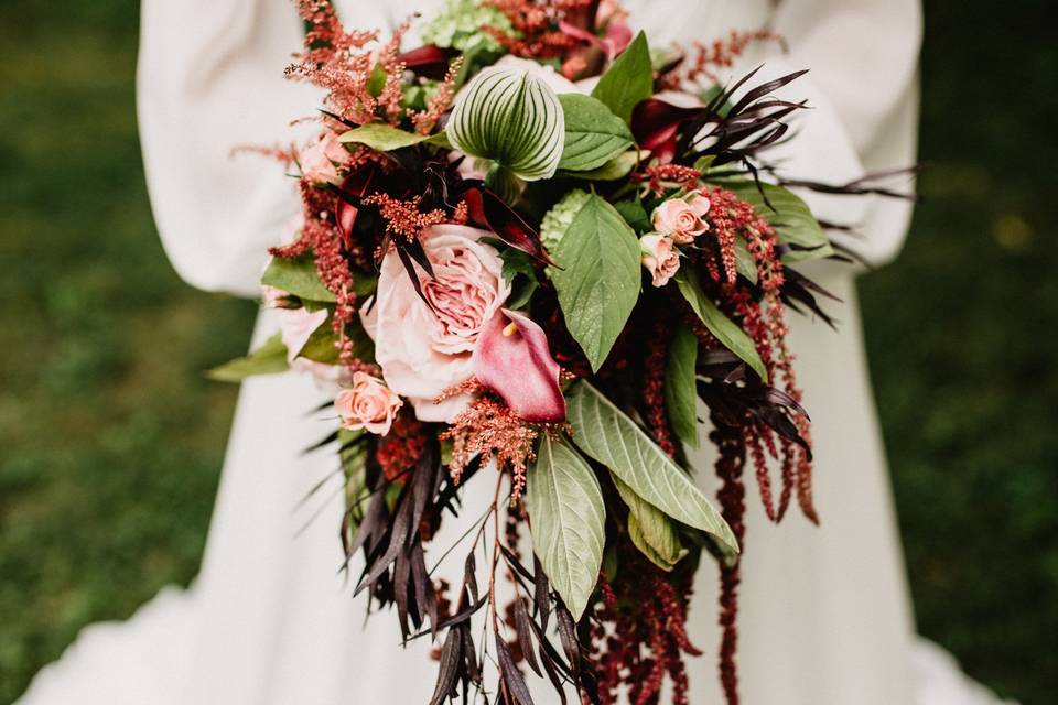 Amber Greene Photography