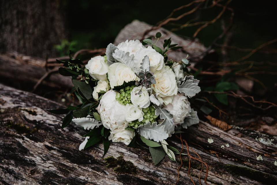 Amber Greene Photography