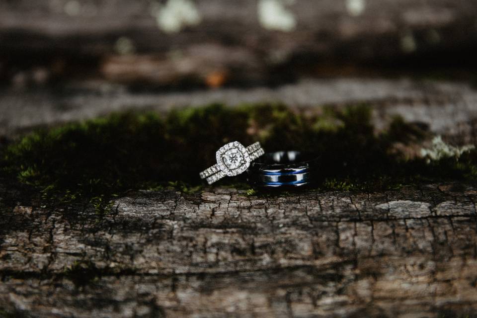Amber Greene Photography