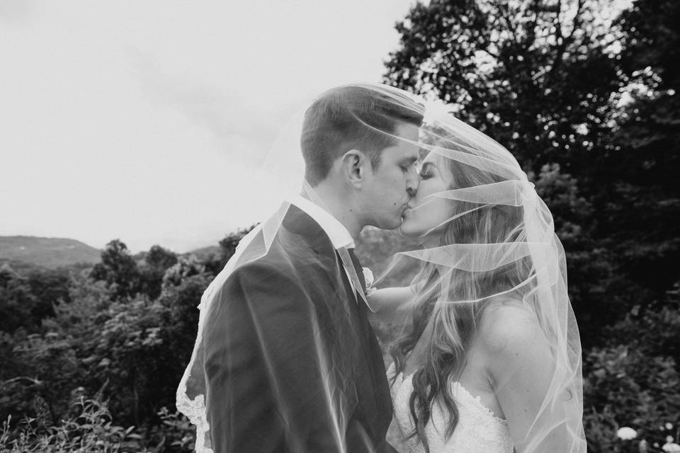Amber Greene Photography