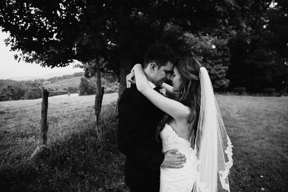 Amber Greene Photography