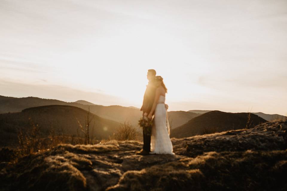 Amber Greene Photography