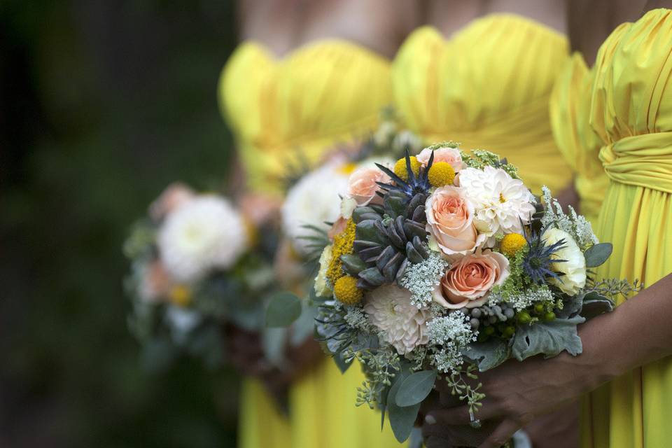 Succulents and roses