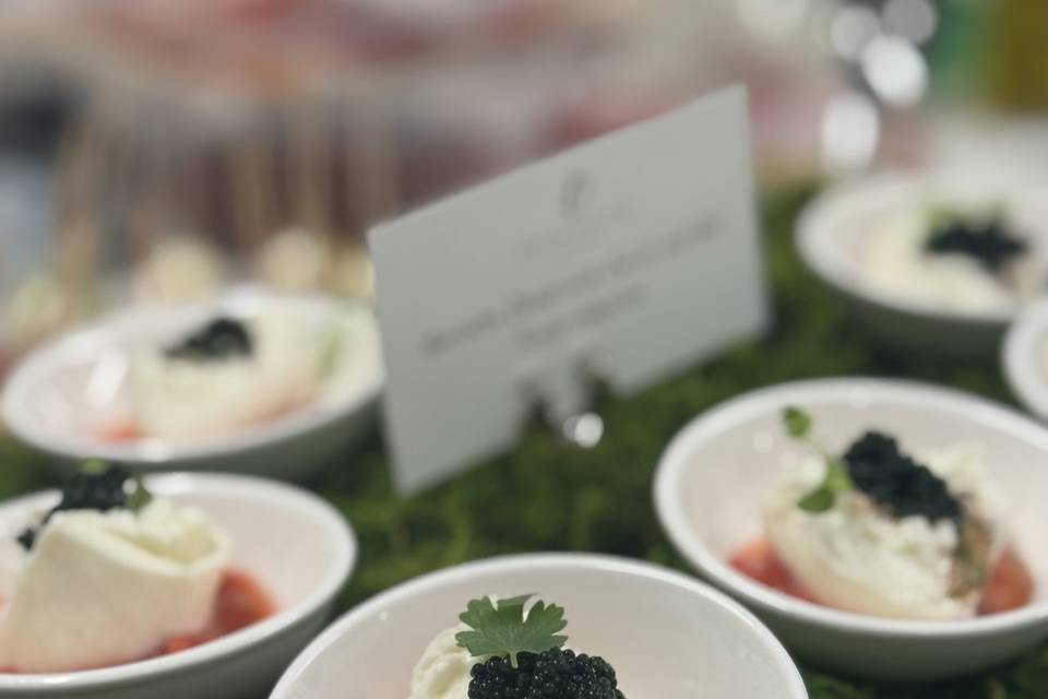 Modern bites