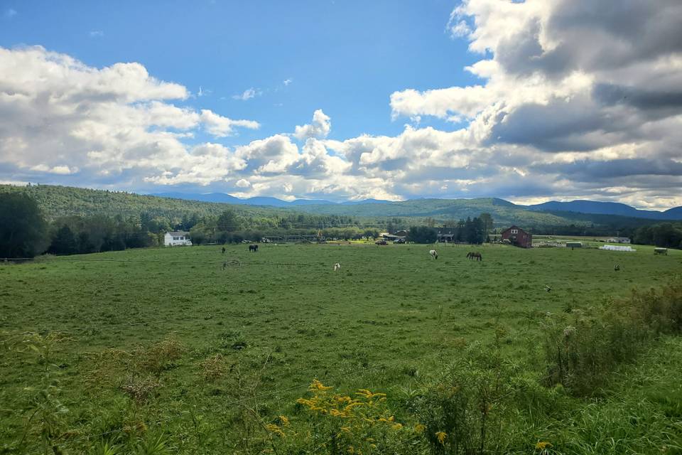 Pasture with mountain views